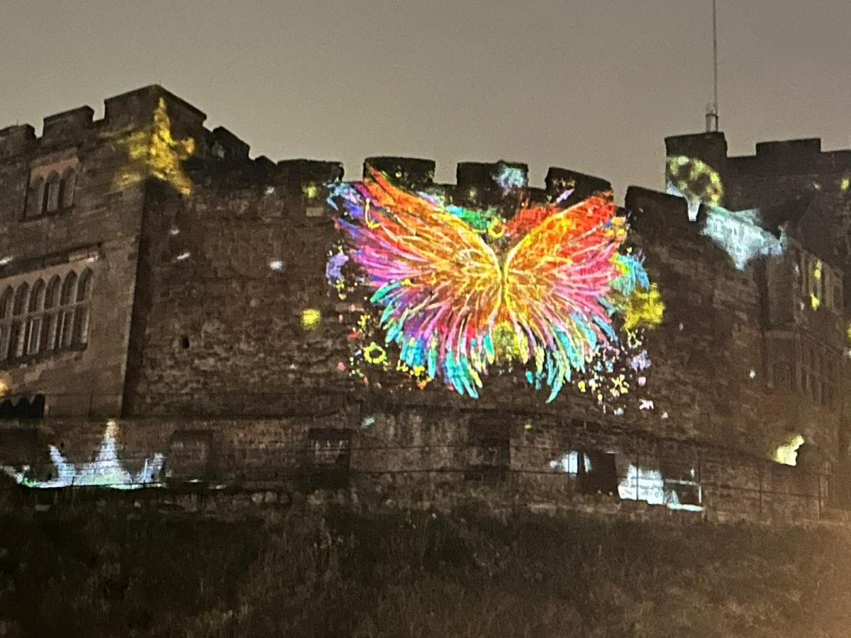 Thousands enjoyed festive cheer with the FREE Christmas Lights Switch